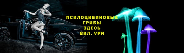 гидропоника Алзамай
