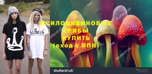 гидропоника Алзамай