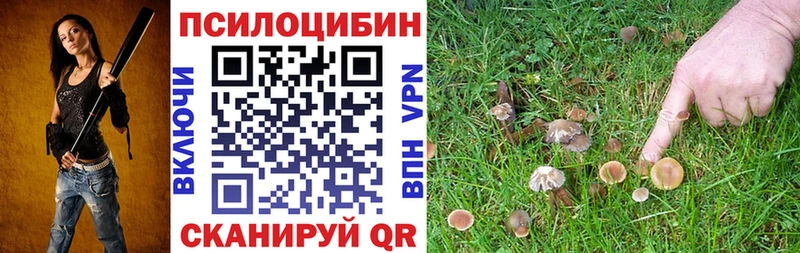 Галлюциногенные грибы Magic Shrooms  Нижнеудинск 