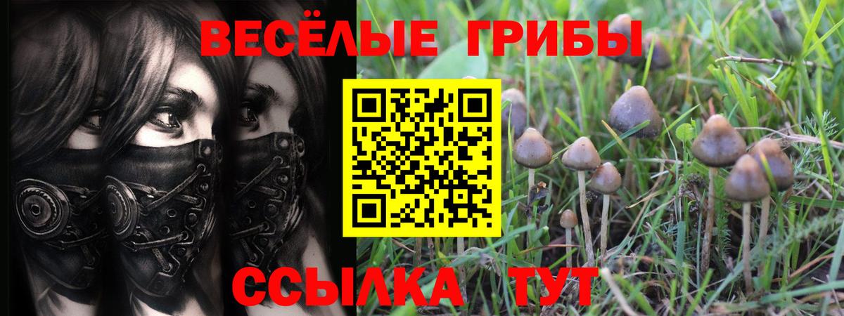 Псилоцибиновые грибы мицелий Нижнеудинск