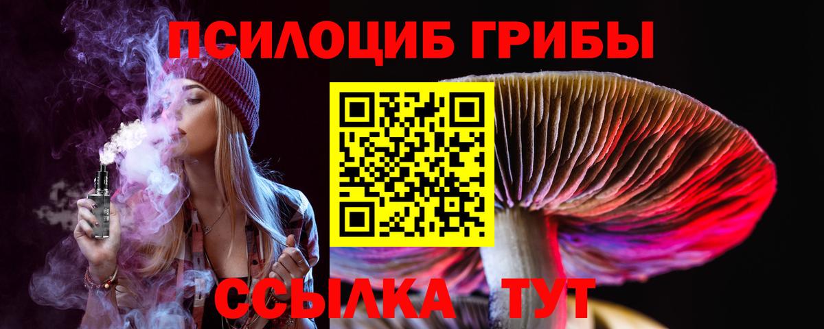 Псилоцибиновые грибы MAGIC MUSHROOMS  Вход с VPN  Нижнеудинск 